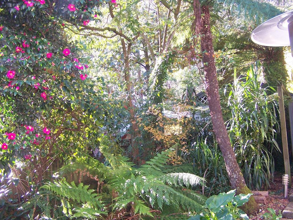 Annie Roes Luxury B&B Bend of Islands Exterior foto