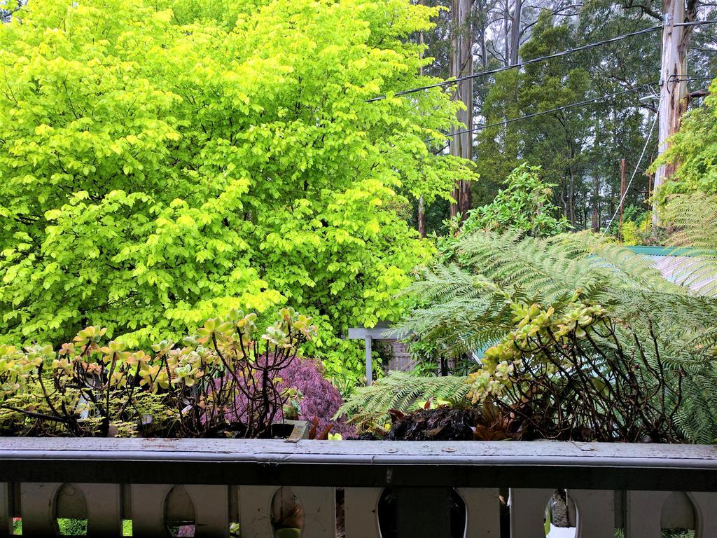 Annie Roes Luxury B&B Bend of Islands Exterior foto